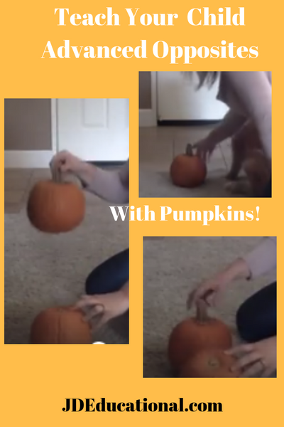 Pumpkin Opposites (with video)