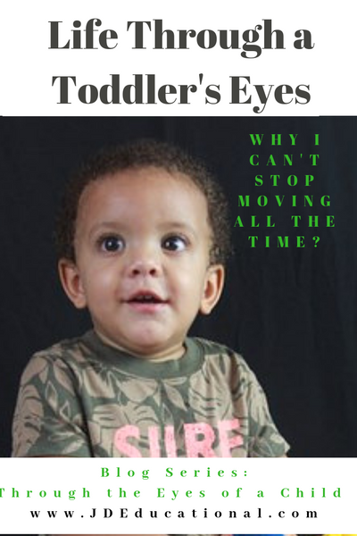 Life through a Toddler's Eyes