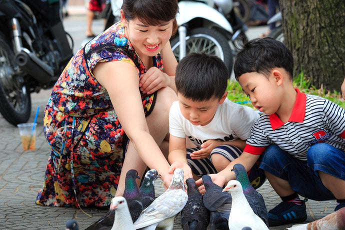 Perfect Pets for Young Kids